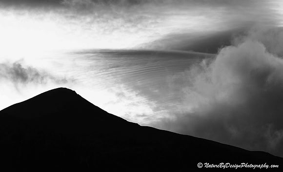BW-MG-6708